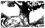 Apr 14, 1999