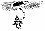 Oct 2, 2002